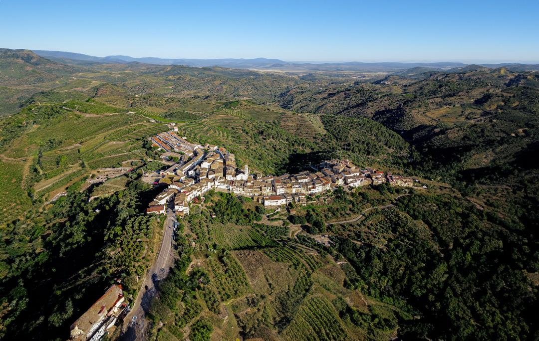 Vi del priorat i experiències úniques al celler Bartolomé